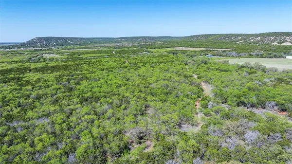 a view of a lush green forest with trees in the background