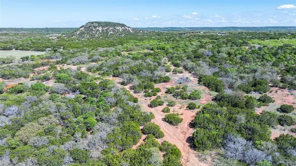 a view of a lush green field with lots of plants in it