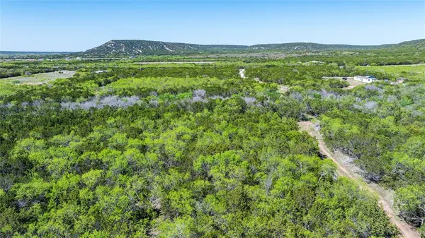 a view of a green field with lots of trees in it