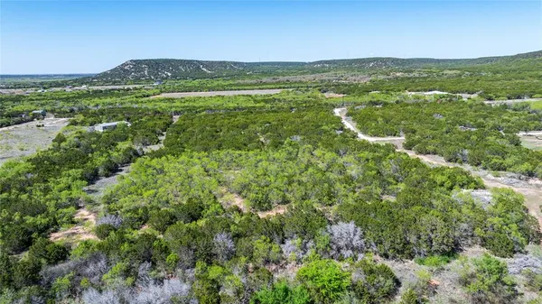 a view of a green field with lots of bushes