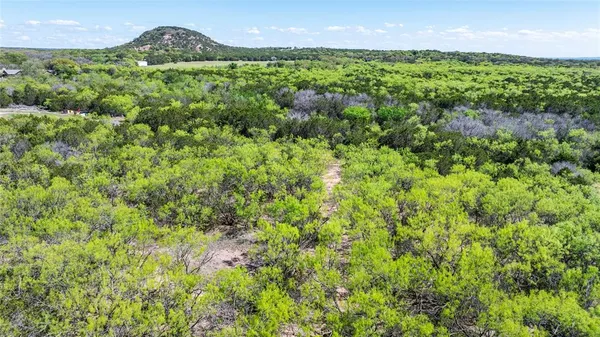 a view of a lush green outdoor space with lots of bushes