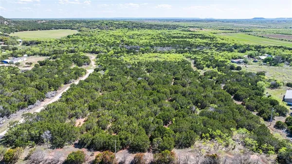 a view of a green field with lots of bushes