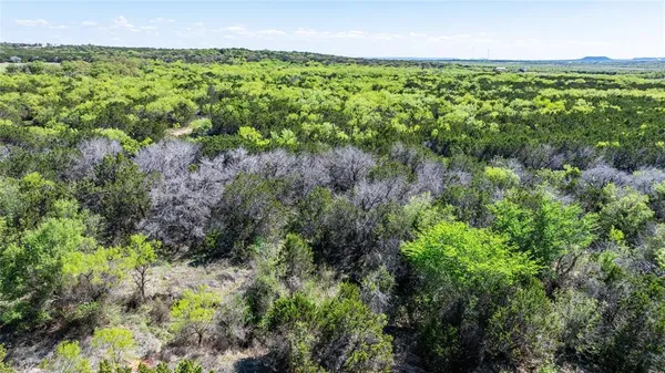 a view of a lush green forest with houses