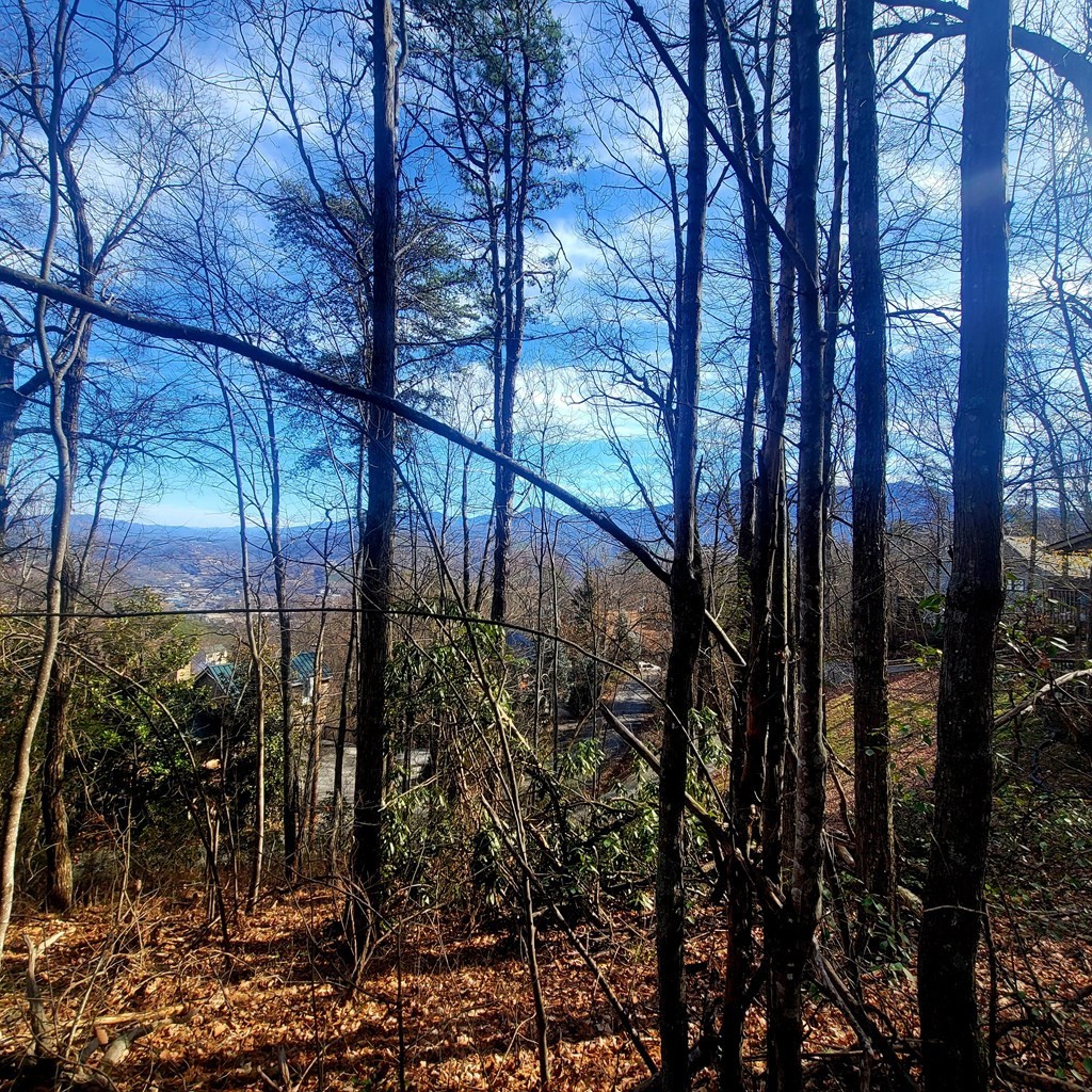 17 Zurich Road Gatlinburg, TN 37738 - Photo 4 of 24