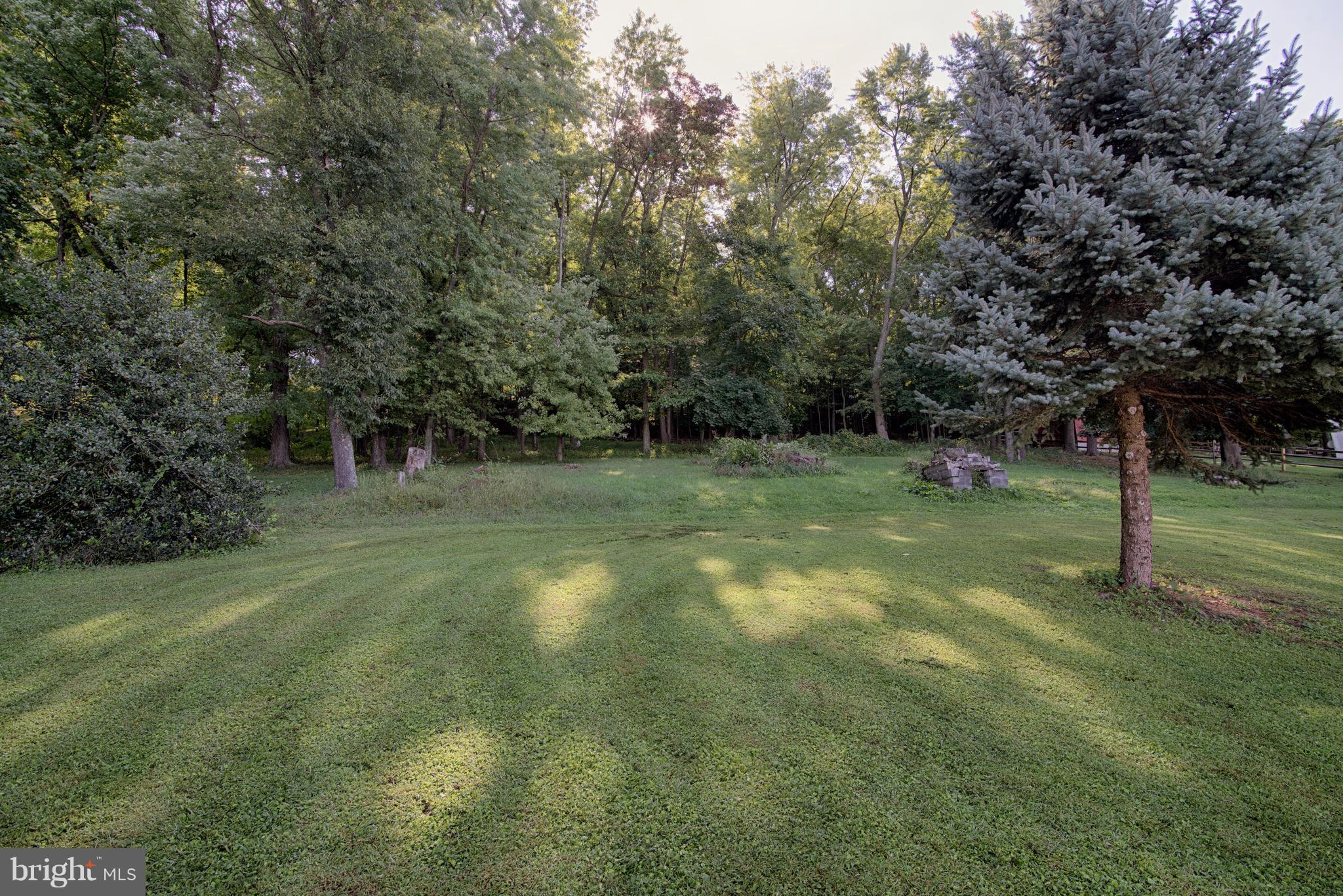 6227 Clevelandtown Road Boonsboro, MD 21713 - Photo 4 of 30 a view of a trees in a yard