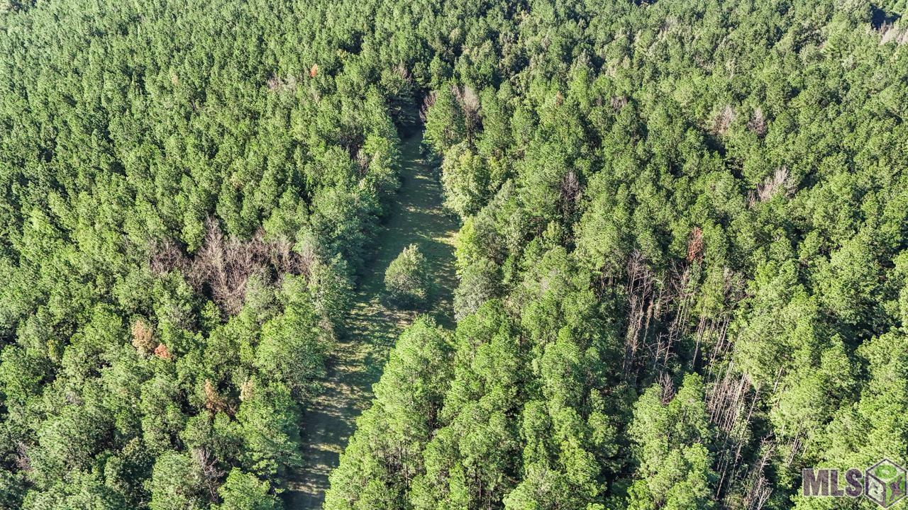 Tract C Peterson Road St. Francisville, LA 70775 - Photo 11 of 30