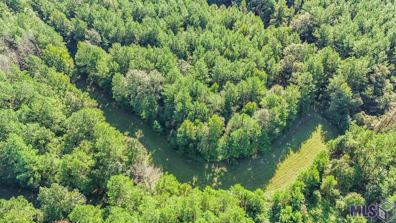 Tract C Peterson Road St. Francisville, LA 70775 - Photo 13 of 30