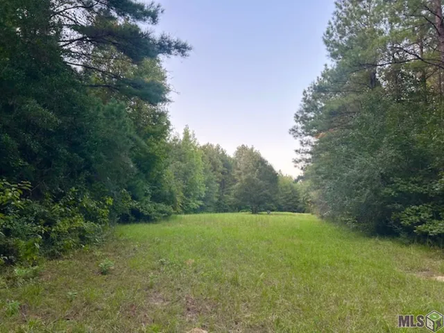 $1,499,000 | Tract C Peterson Road, St. Francisville, LA 70775