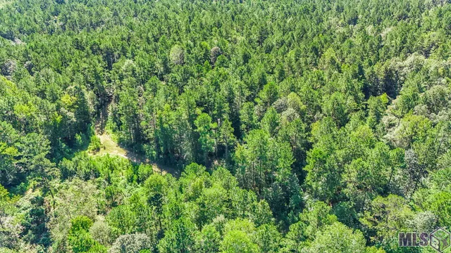 $1,499,000 | Tract C Peterson Road, St. Francisville, LA 70775