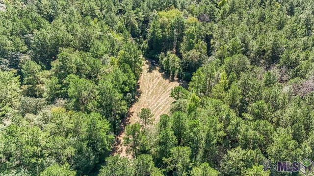 $1,499,000 | Tract C Peterson Road, St. Francisville, LA 70775