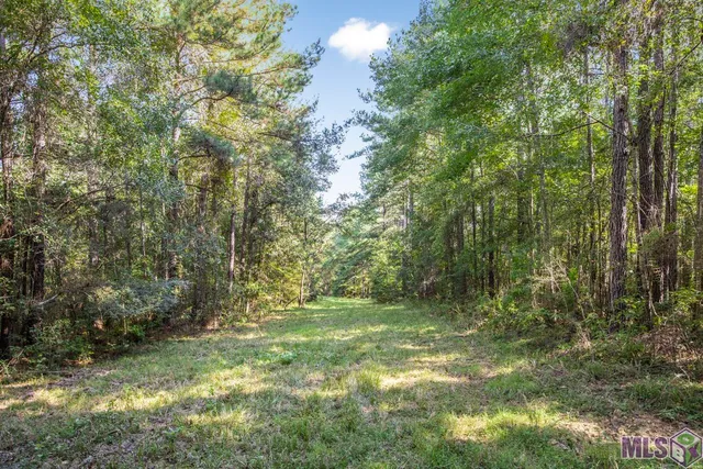 $1,499,000 | Tract C Peterson Road, St. Francisville, LA 70775