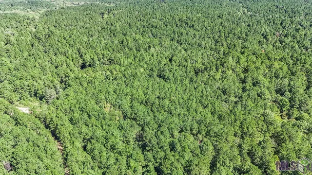 $1,499,000 | Tract C Peterson Road, St. Francisville, LA 70775