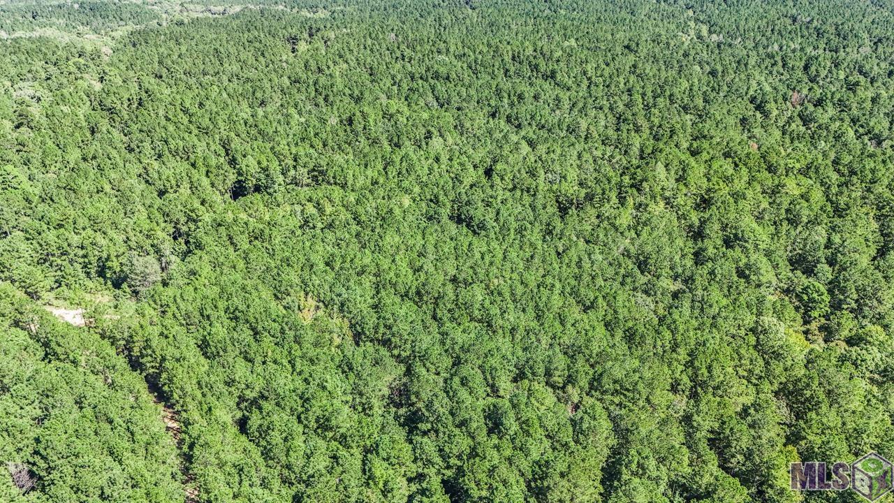 Tract C Peterson Road St. Francisville, LA 70775 - Photo 22 of 30