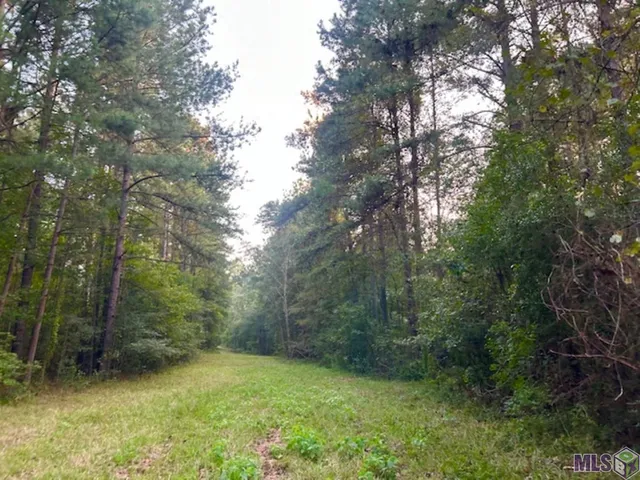 $1,499,000 | Tract C Peterson Road, St. Francisville, LA 70775