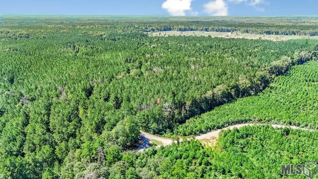 $1,499,000 | Tract C Peterson Road, St. Francisville, LA 70775