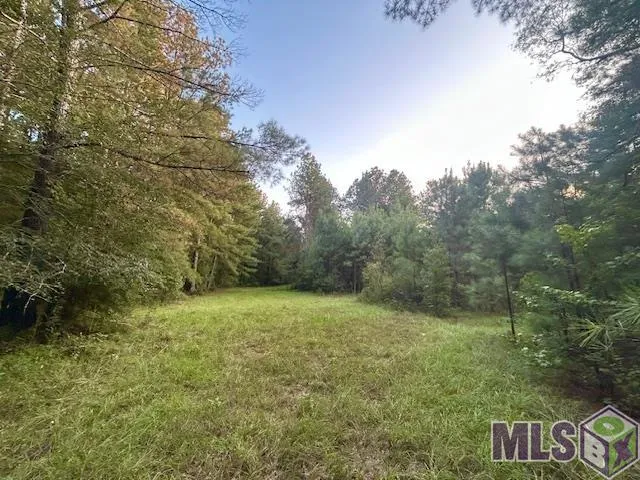$1,499,000 | Tract C Peterson Road, St. Francisville, LA 70775