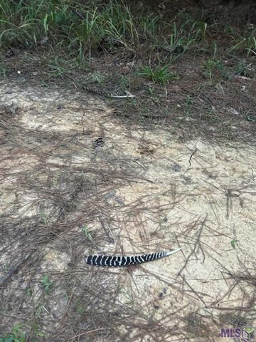 $1,499,000 | Tract C Peterson Road, St. Francisville, LA 70775