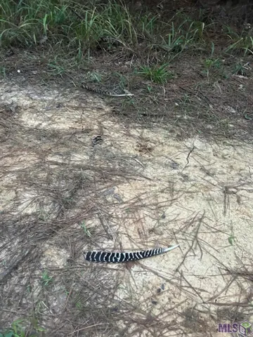 $1,499,000 | Tract C Peterson Road, St. Francisville, LA 70775