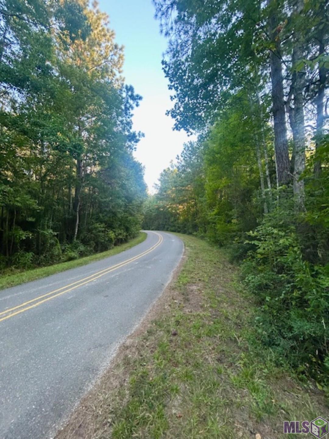 Tract C Peterson Road St. Francisville, LA 70775 - Photo 29 of 30