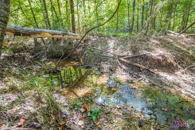 $1,499,000 | Tract C Peterson Road, St. Francisville, LA 70775
