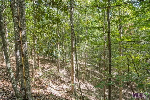 $1,499,000 | Tract C Peterson Road, St. Francisville, LA 70775