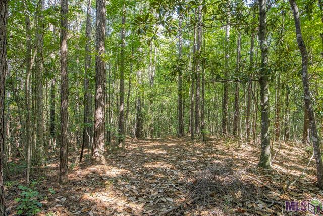 $1,499,000 | Tract C Peterson Road, St. Francisville, LA 70775