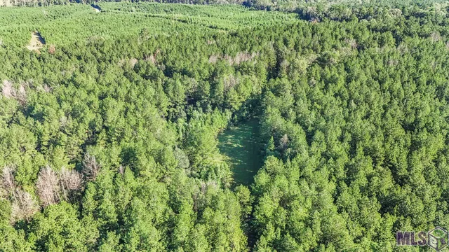 $1,499,000 | Tract C Peterson Road, St. Francisville, LA 70775