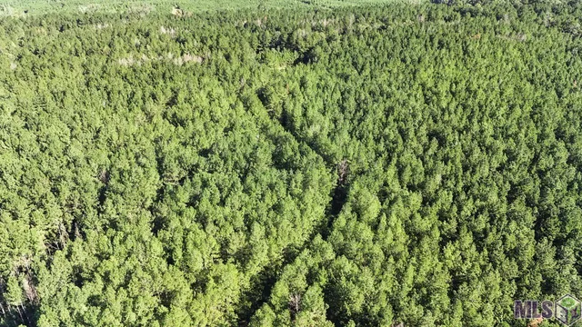 $1,499,000 | Tract C Peterson Road, St. Francisville, LA 70775