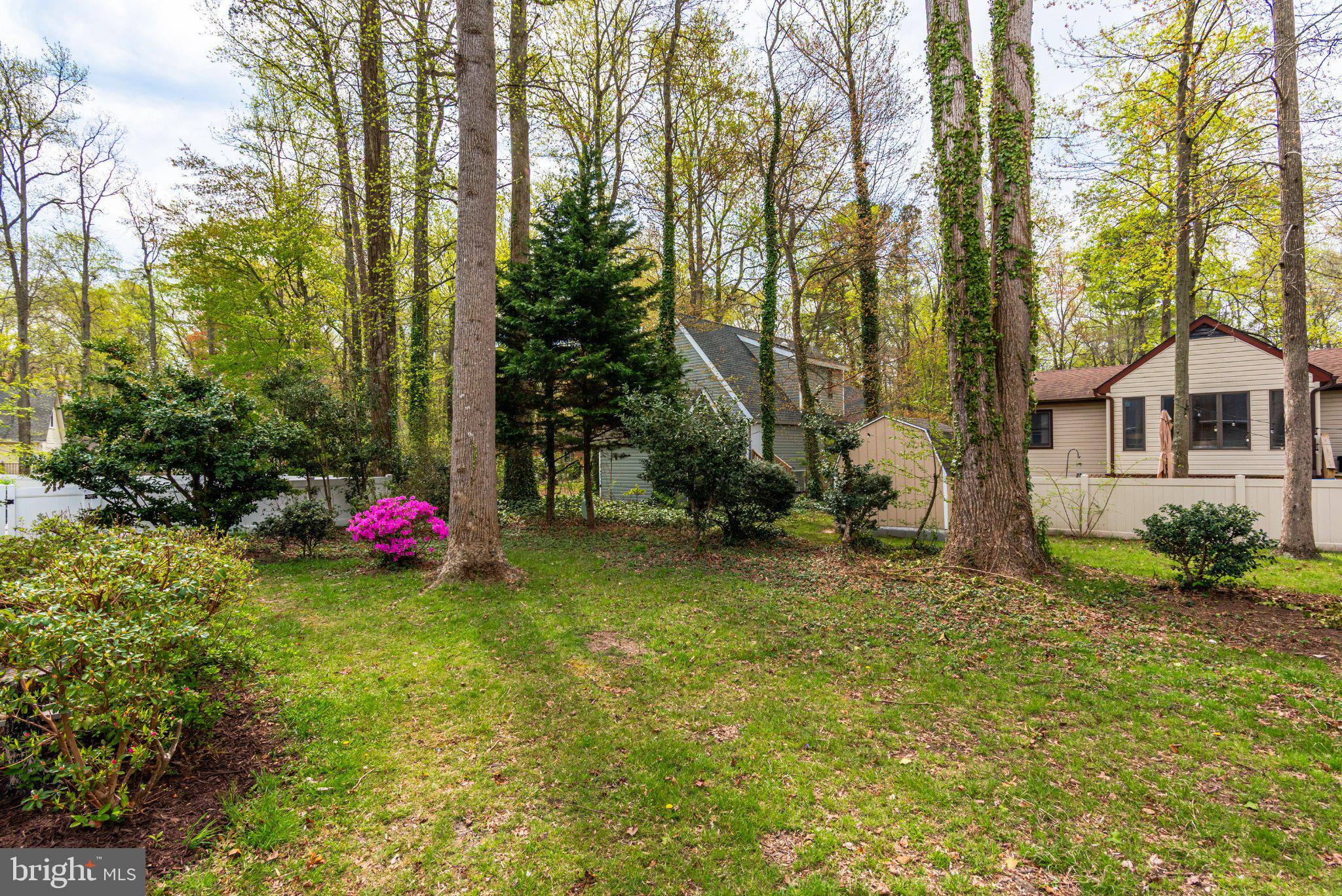 258 Ocean Parkway Berlin, MD 21811 - Photo 10 of 55 Serene woodland retreat awaits you.