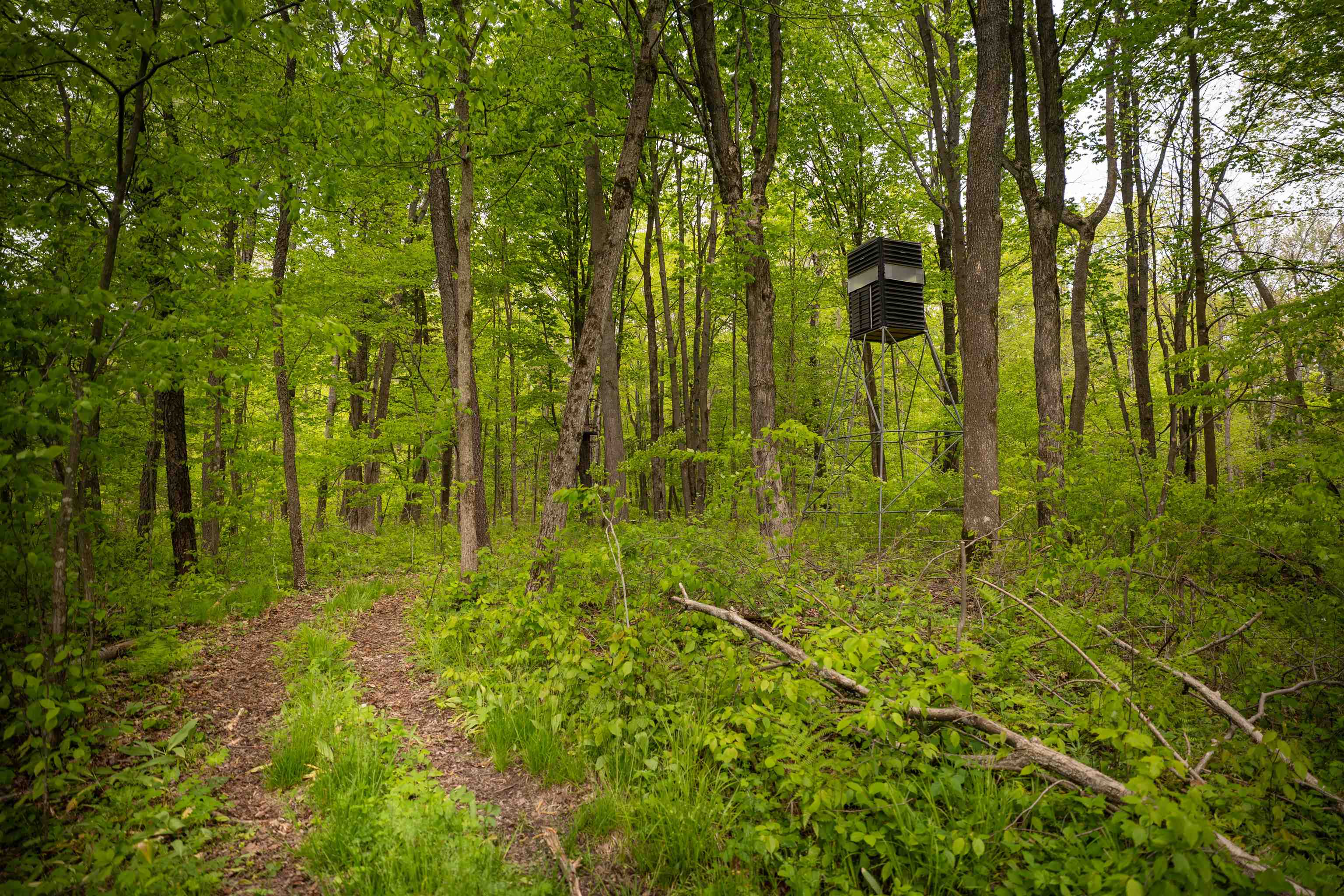 135976 Freeman Valley Road Mosinee, WI 54455 - Photo 56 of 60
