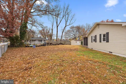 a view of a yard with a large tree