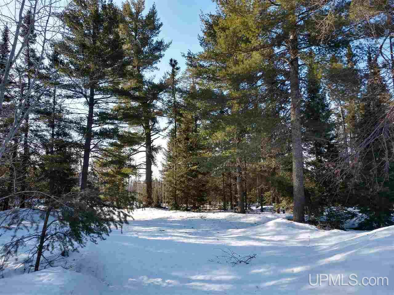 39-acres 39-acres Co Road Ishpeming, MI 49849 - Photo 30 of 39