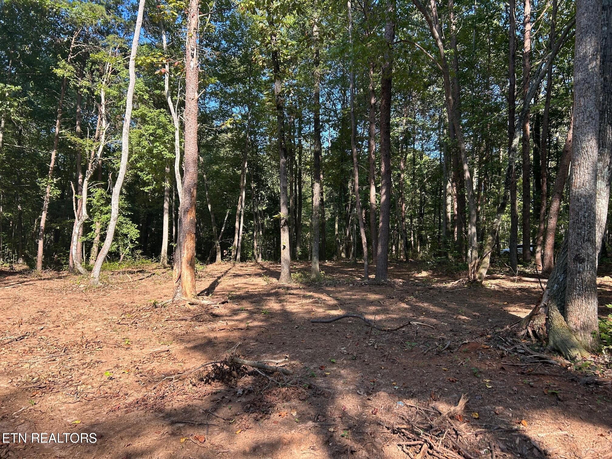 6 Pleasant Hill Road Ten Mile, TN 37880 - Photo 3 of 11