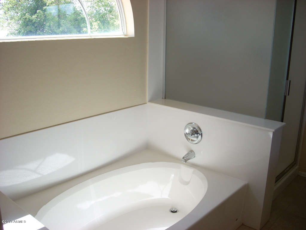 15815 West Calavar Road Surprise, AZ 85379 - Photo 11 of 14 Master Bath 2