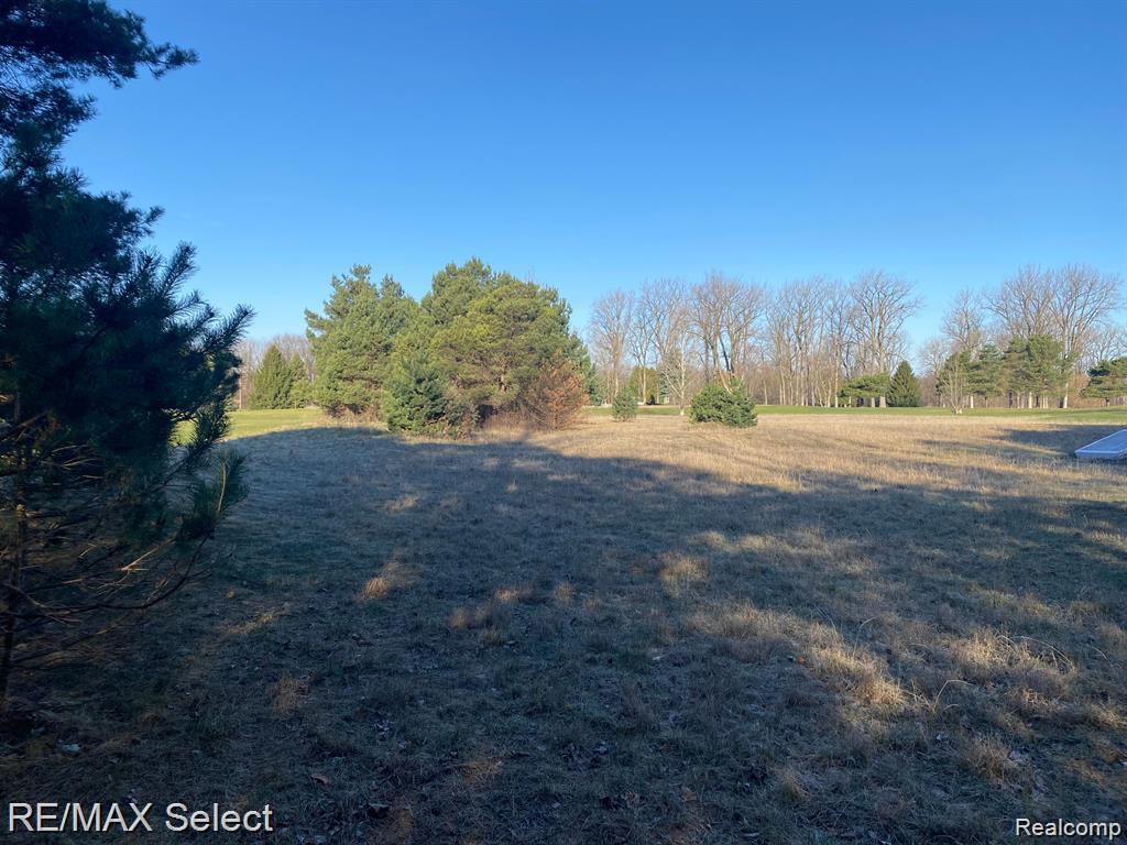 0 Weeden Road Caro, MI 48723 - Photo 11 of 11