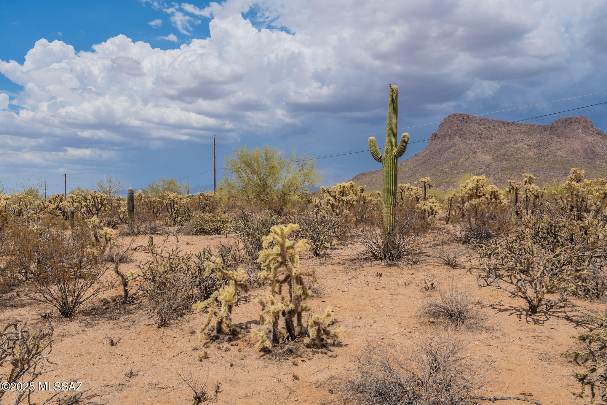 Tbd North Tbd N Van Ark Road Tucson, AZ 85743 - Photo 4 of 25