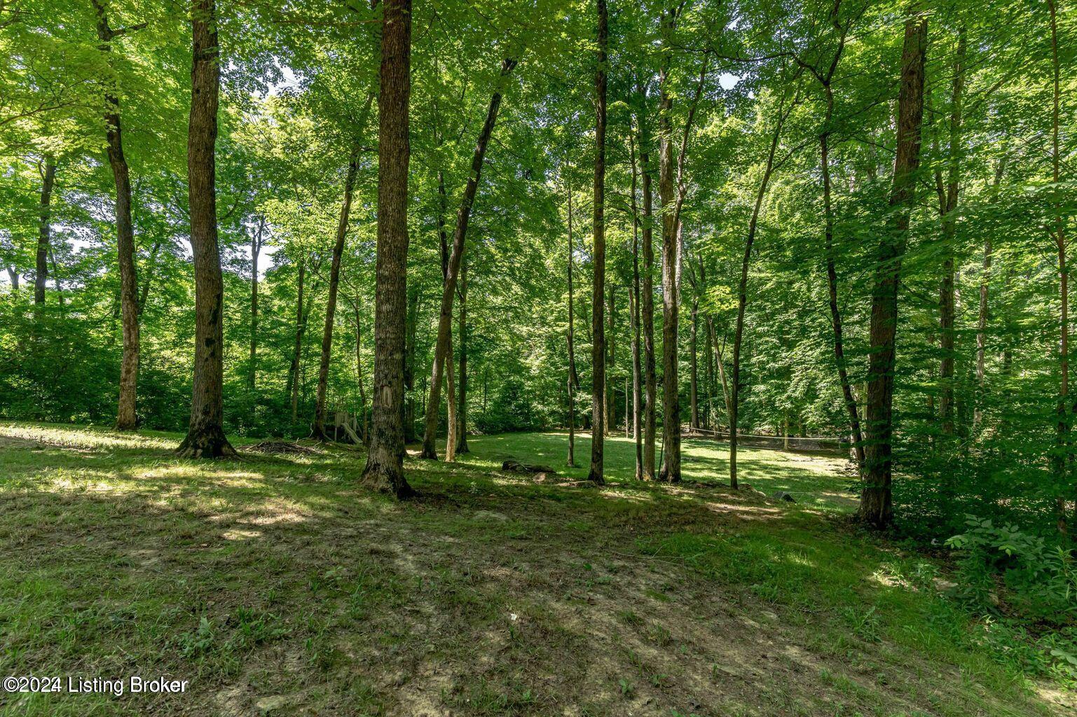 200 Bells Ml Road Shepherdsville, KY 40165 - Photo 85 of 105 20220622172310658259000000-o