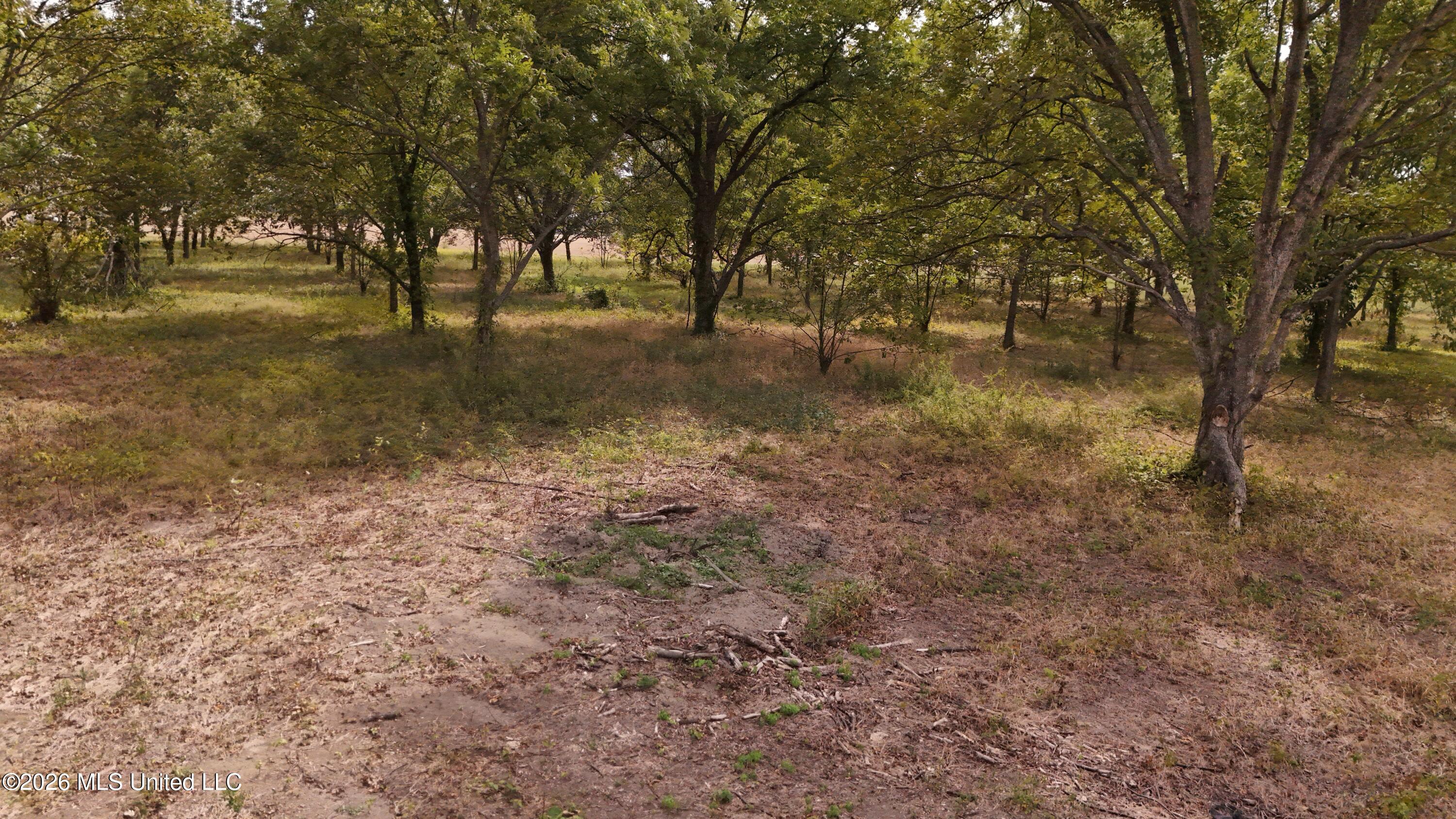 Interstate Road Shaw, MS 38773 - Photo 28 of 31 DJI_20260926154856_0640_D