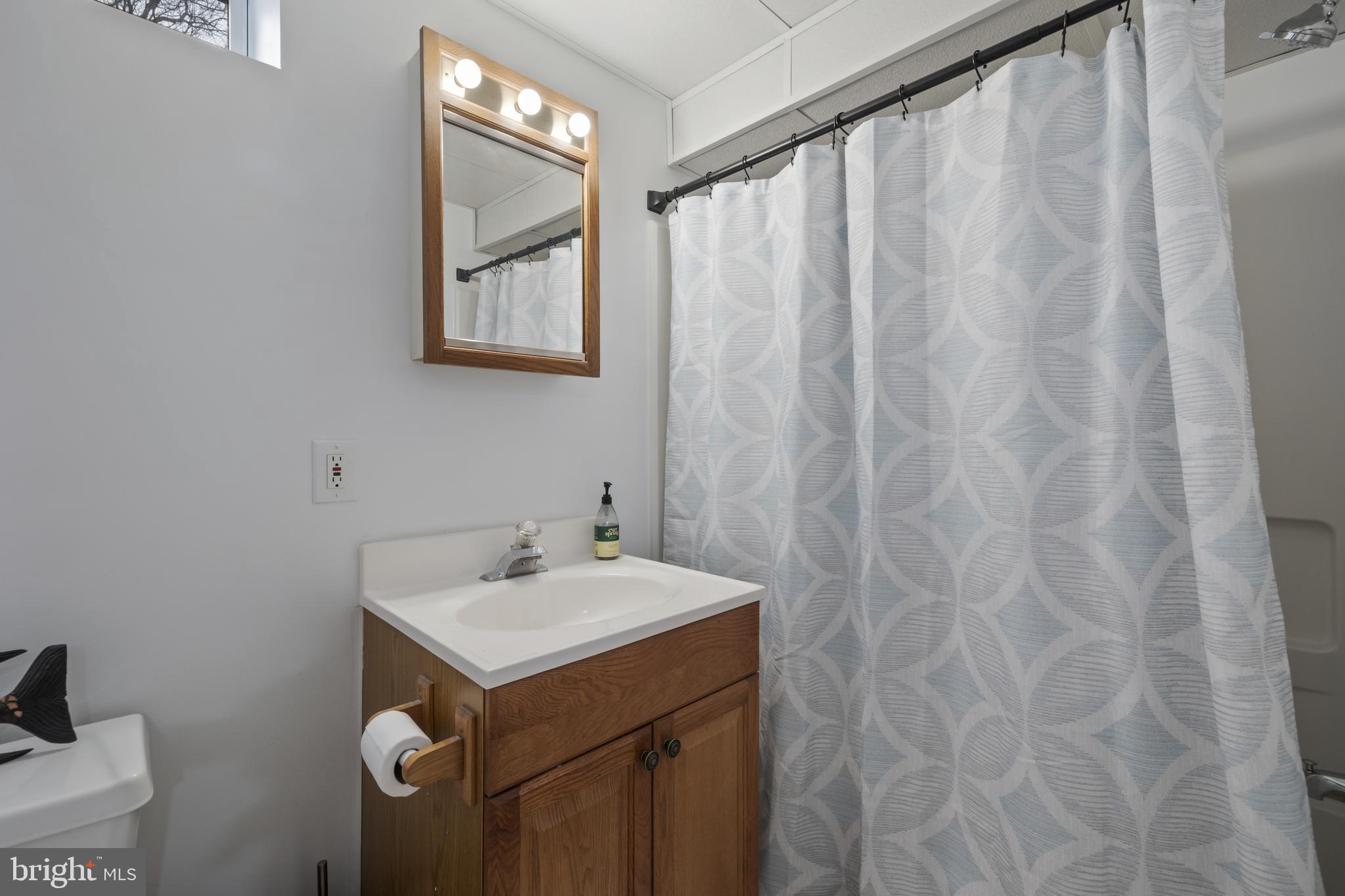 7802 Blue Hill Road Glenville, PA 17329 - Photo 38 of 44 a bathroom with a sink and a mirror