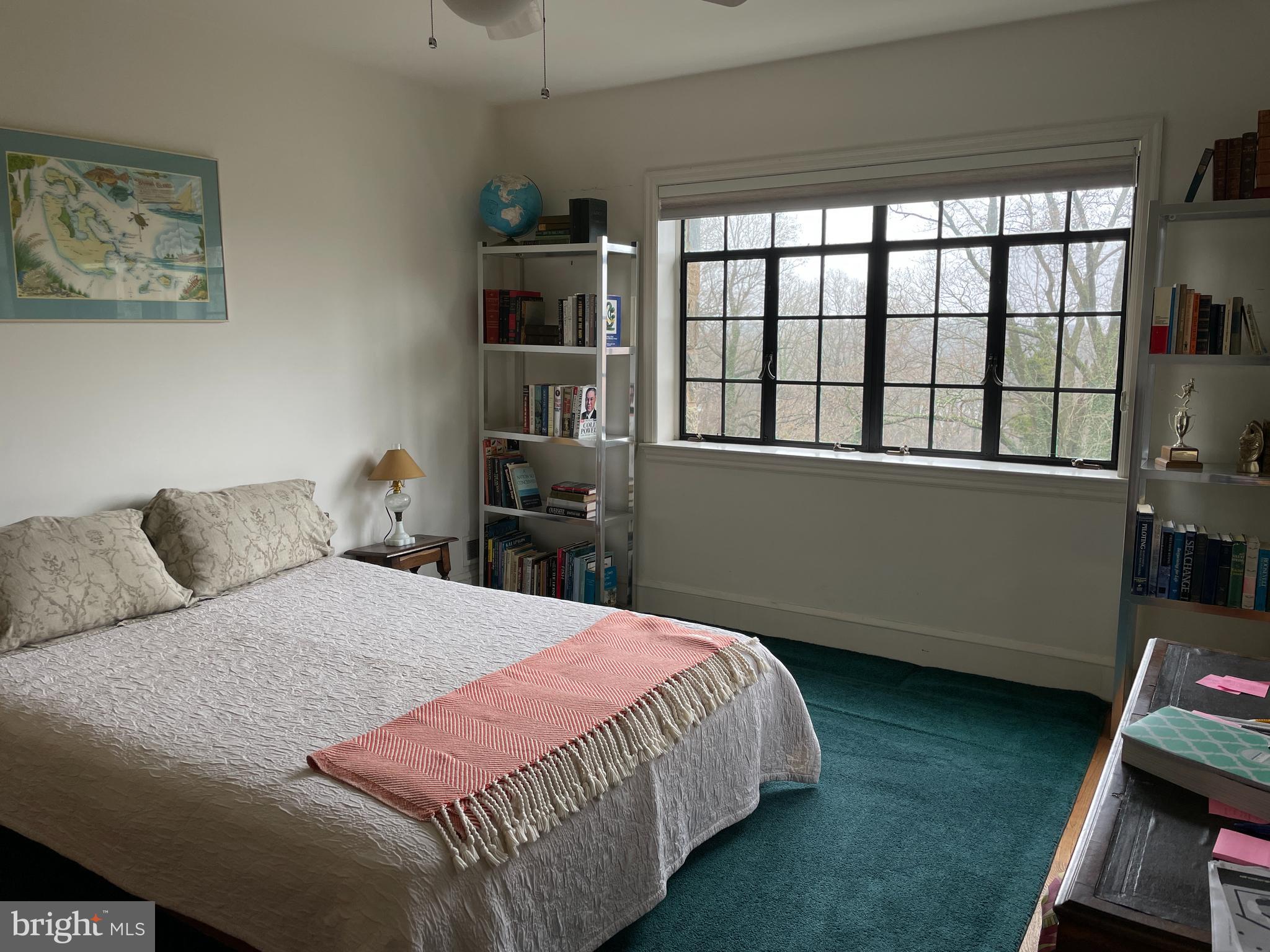 3117 Chain Bridge Road Northwest Washington, DC 20016 - Photo 17 of 26 Second bedroom has park views, large closet