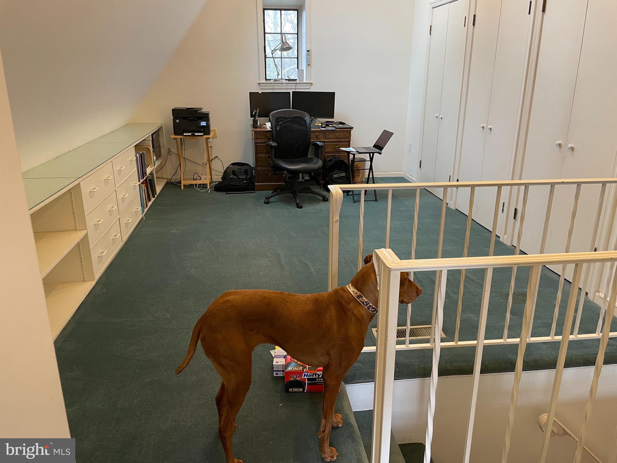 3117 Chain Bridge Road Northwest Washington, DC 20016 - Photo 18 of 26 Dog does not convey !!