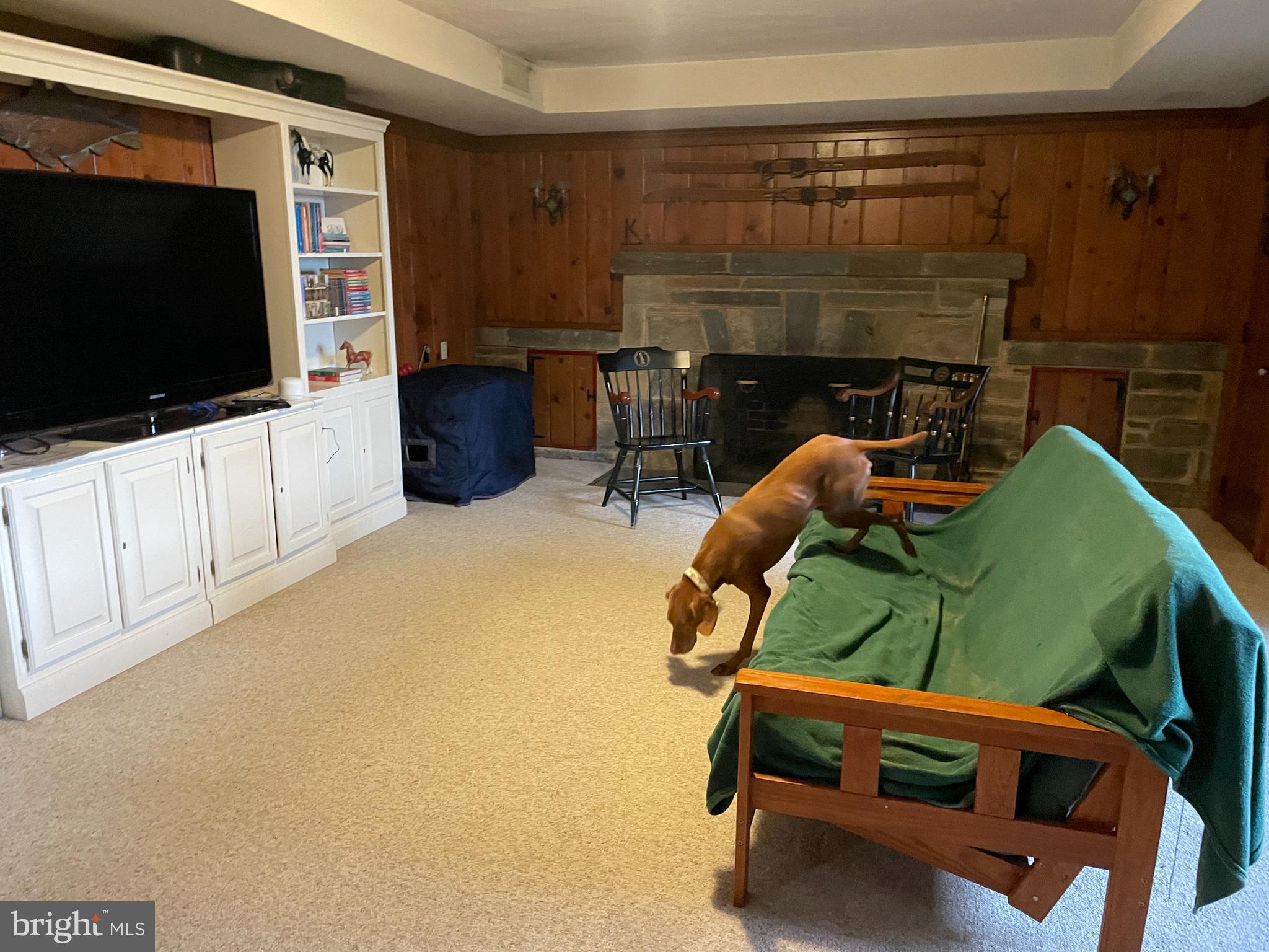 3117 Chain Bridge Road Northwest Washington, DC 20016 - Photo 22 of 26 Lower level family room with fireplace