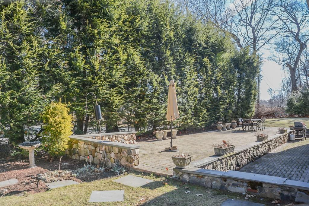 7 Benjamin Road Lexington, MA 02421 - Photo 41 of 42 a view of a yard with plants and trees