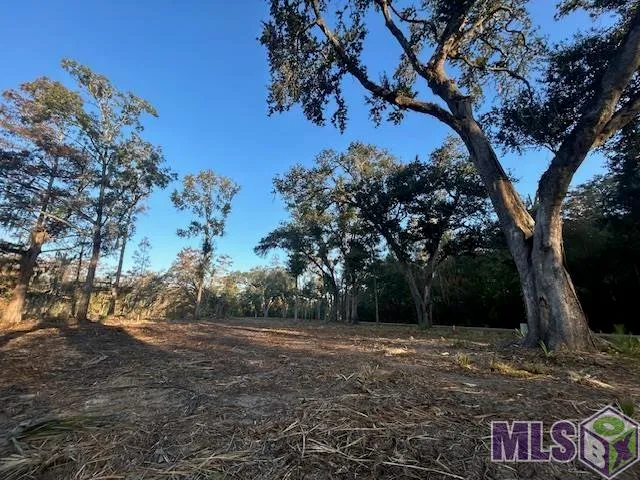 $72,900 | 14269 Old River Road, Maurepas, LA 70449