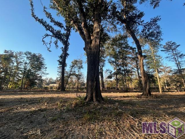 14269 Old River Road Maurepas, LA 70449 - Photo 10 of 12