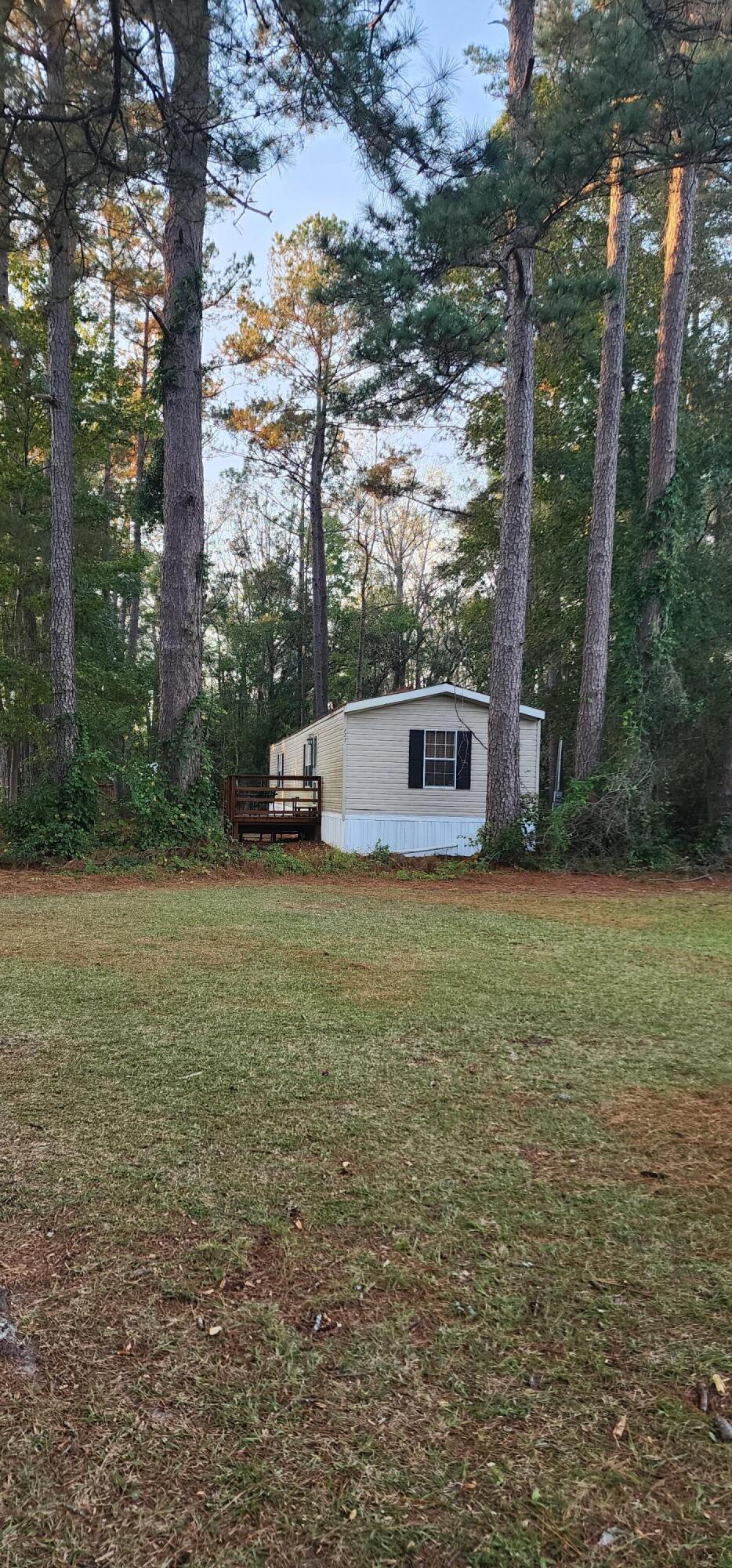 175 Schoolhouse Road Dorchester, SC 29437 - Photo 14 of 17 MH view from Road
