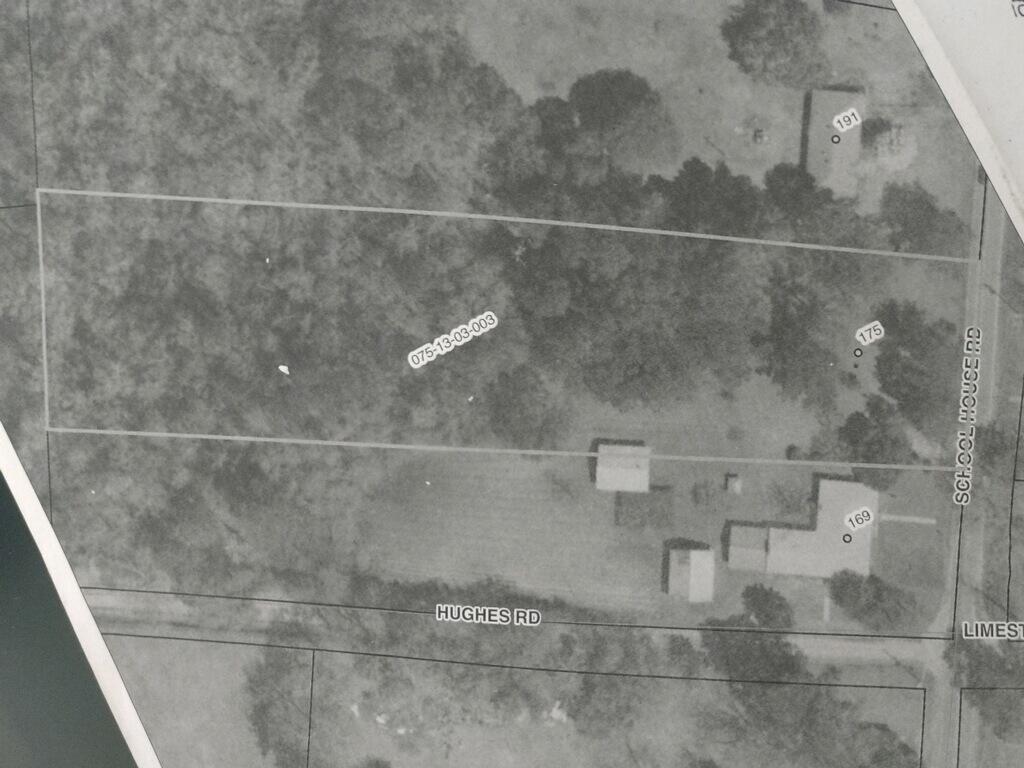 175 Schoolhouse Road Dorchester, SC 29437 - Photo 17 of 17 Aerial