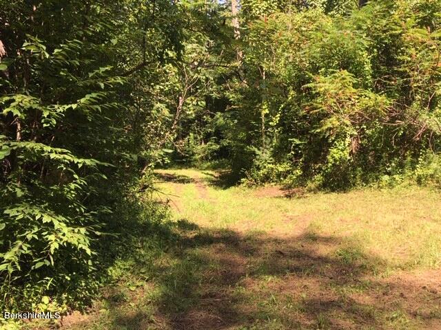 85 Maple Hill Road West Stockbridge, MA 01266 - Photo 3 of 8 IMG_0976
