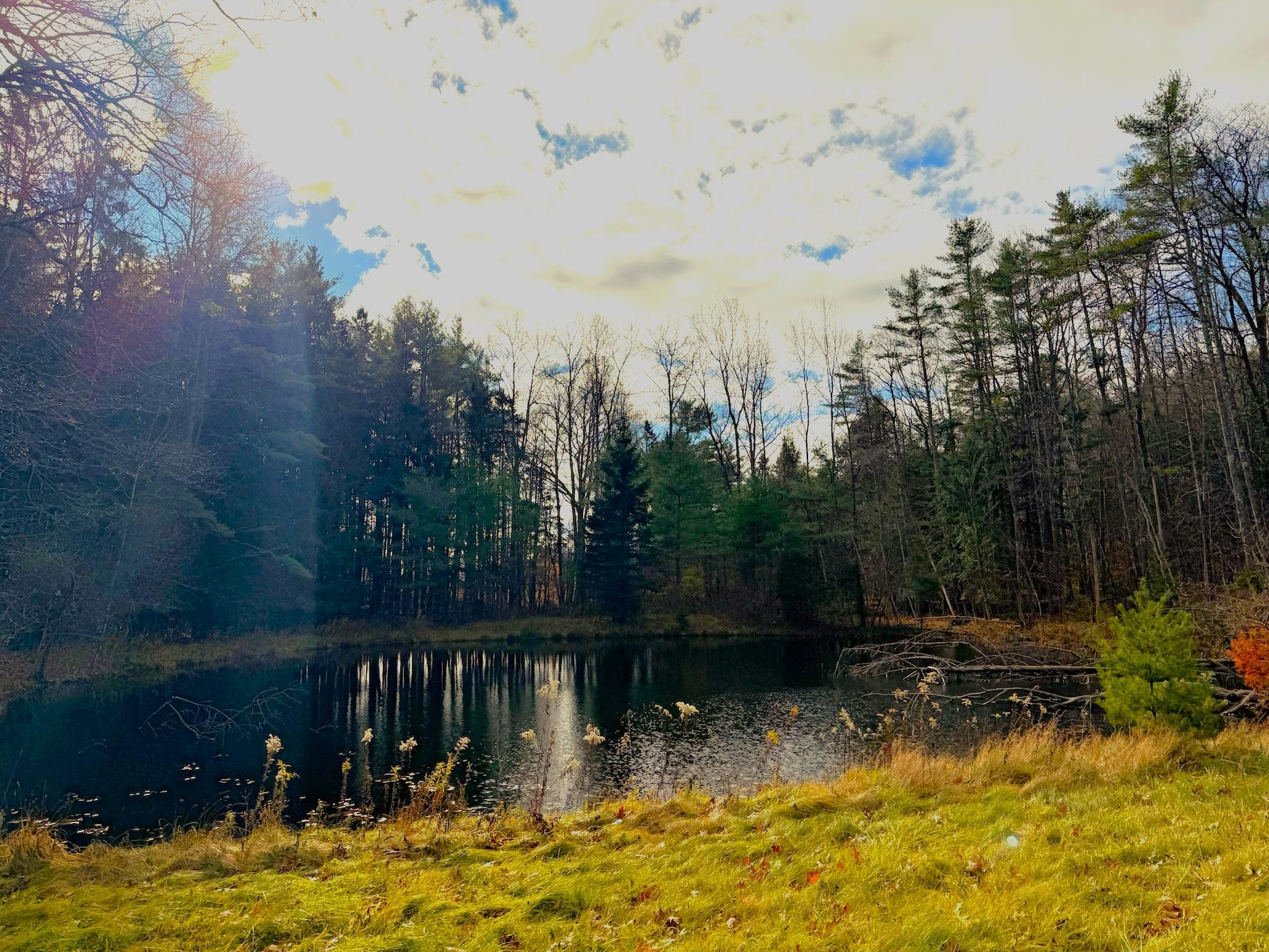 813 Goshen Road Bradford, VT 05033 - Photo 7 of 36