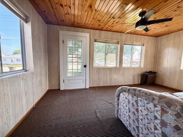 307 Main Street East Caledonia, MN 55921 - Photo 25 of 39